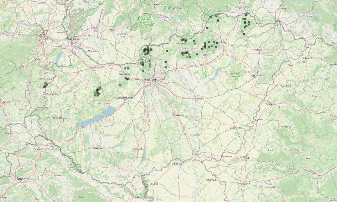 fehérhátú fakopáncs felmérés1_MME.jpg